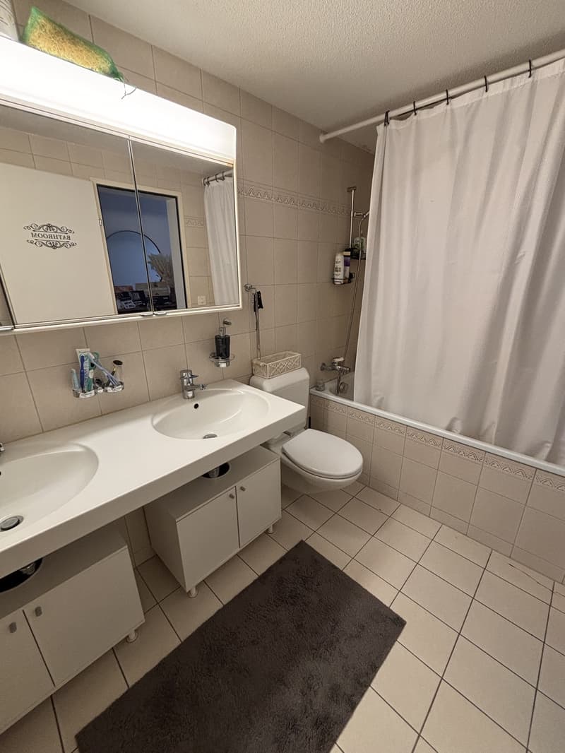 Grosszügige 2 1/2 Zimmer in ruhiger Umgebung (4)