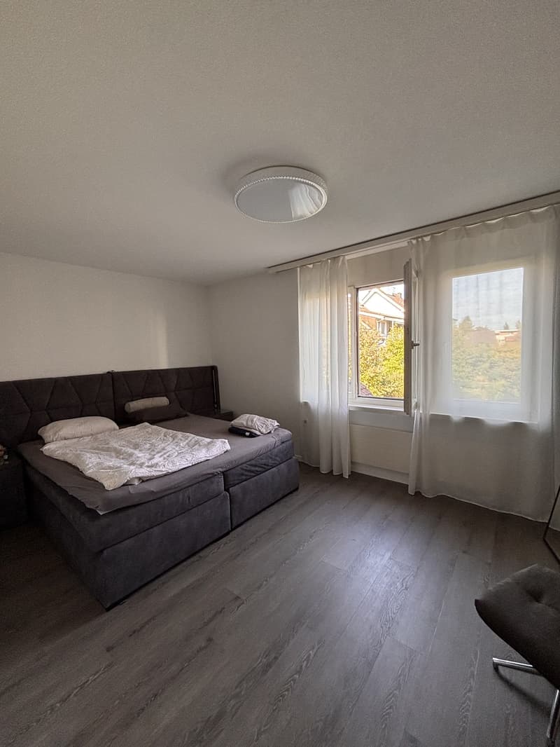 Grosszügige 2 1/2 Zimmer in ruhiger Umgebung (5)