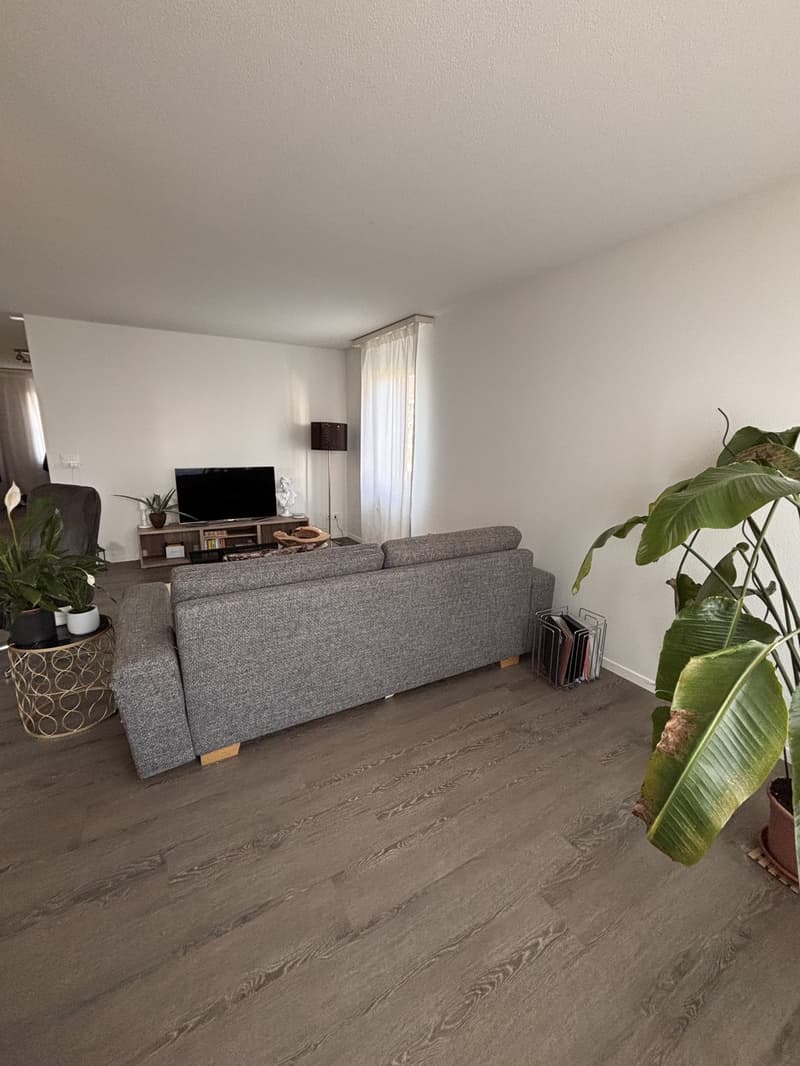 Grosszügige 2 1/2 Zimmer in ruhiger Umgebung (7)