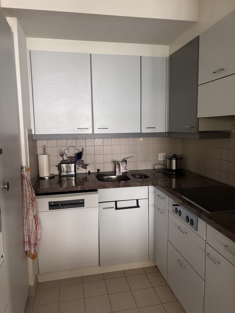 Grosszügige 2 1/2 Zimmer in ruhiger Umgebung (11)