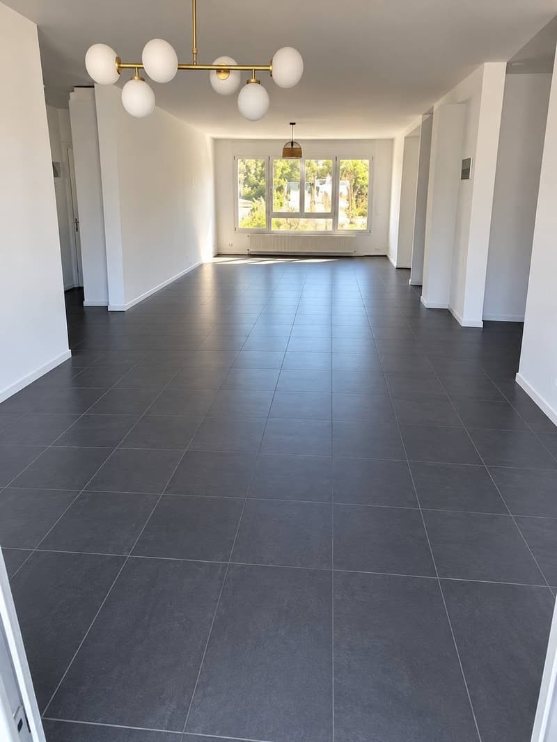A louer reprise de bail appartement à la Tour-de-Trême (4)