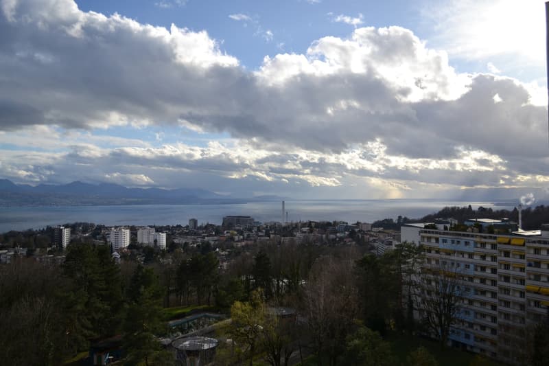 Studio dans les hauts de Lausanne (3)