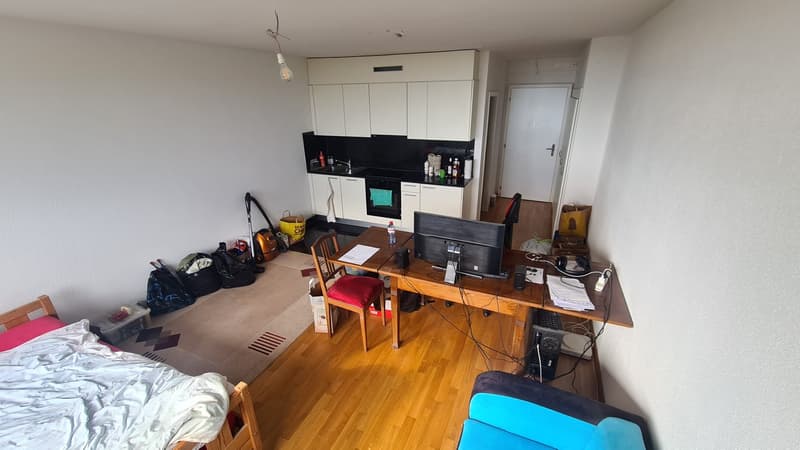 Studio dans les hauts de Lausanne (7)