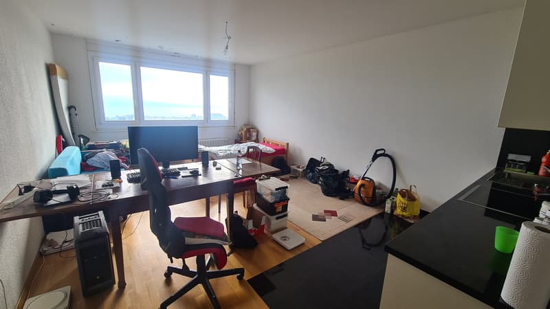 Studio dans les hauts de Lausanne (1)