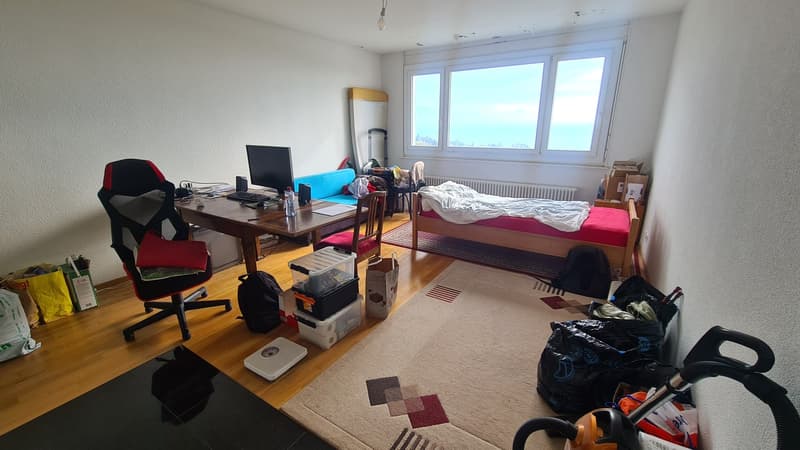 Studio dans les hauts de Lausanne (5)