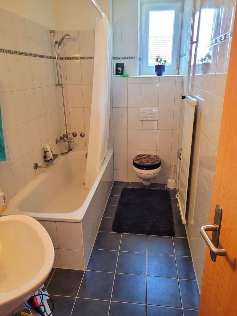 Ideally Located 3 Room (2 Bedroom) Apartment (9)