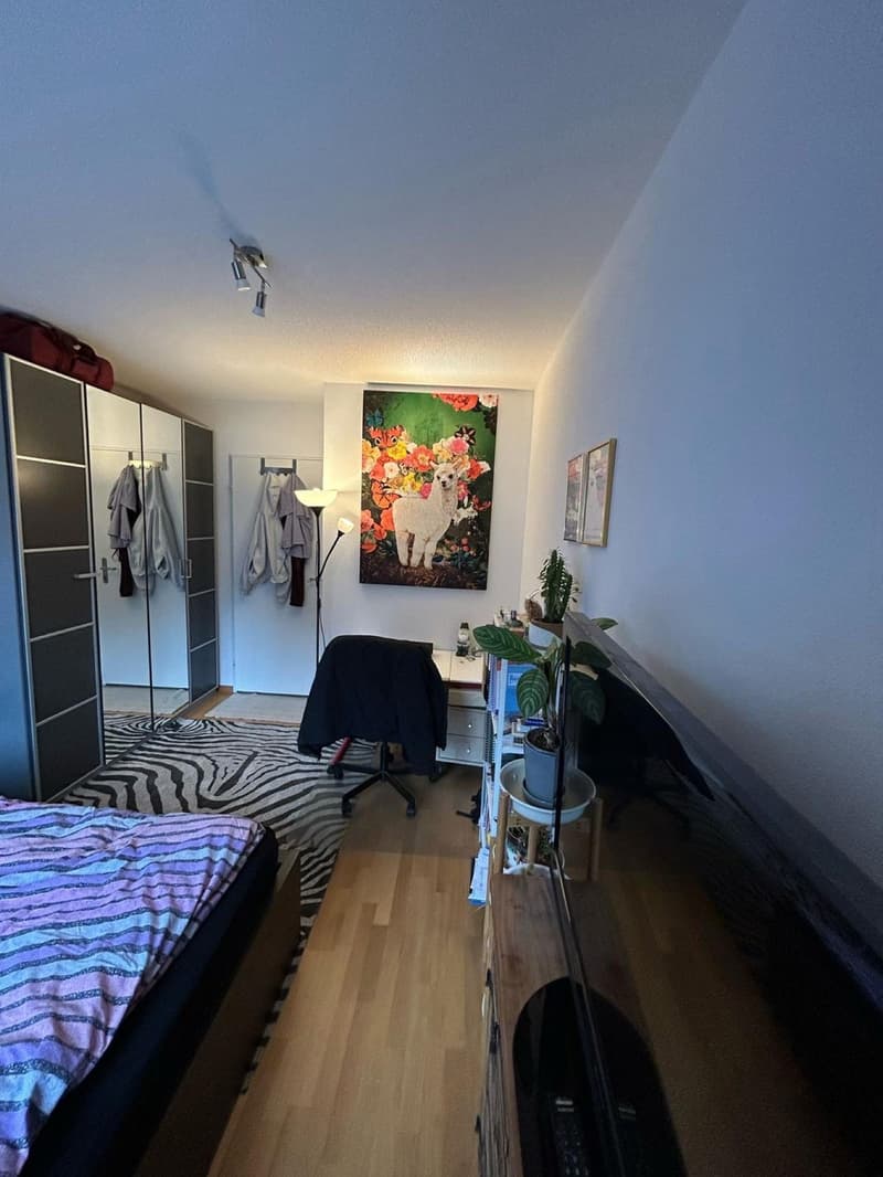 WG-Zimmer frei ab 1. Januar (5)