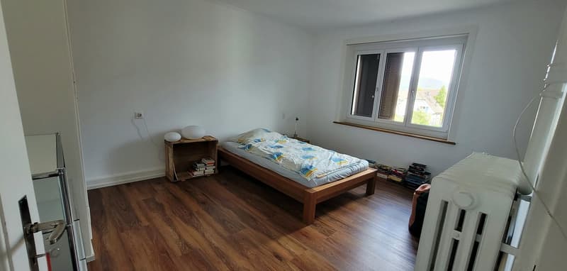 2-Zimmer-Wohnung in Aarau direkt an der Aare (3)