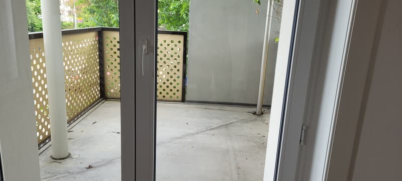 2-Zimmer-Wohnung in Aarau direkt an der Aare (4)