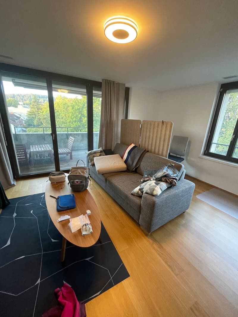 Sonnige Wohnung mit guter Anbindung (2)