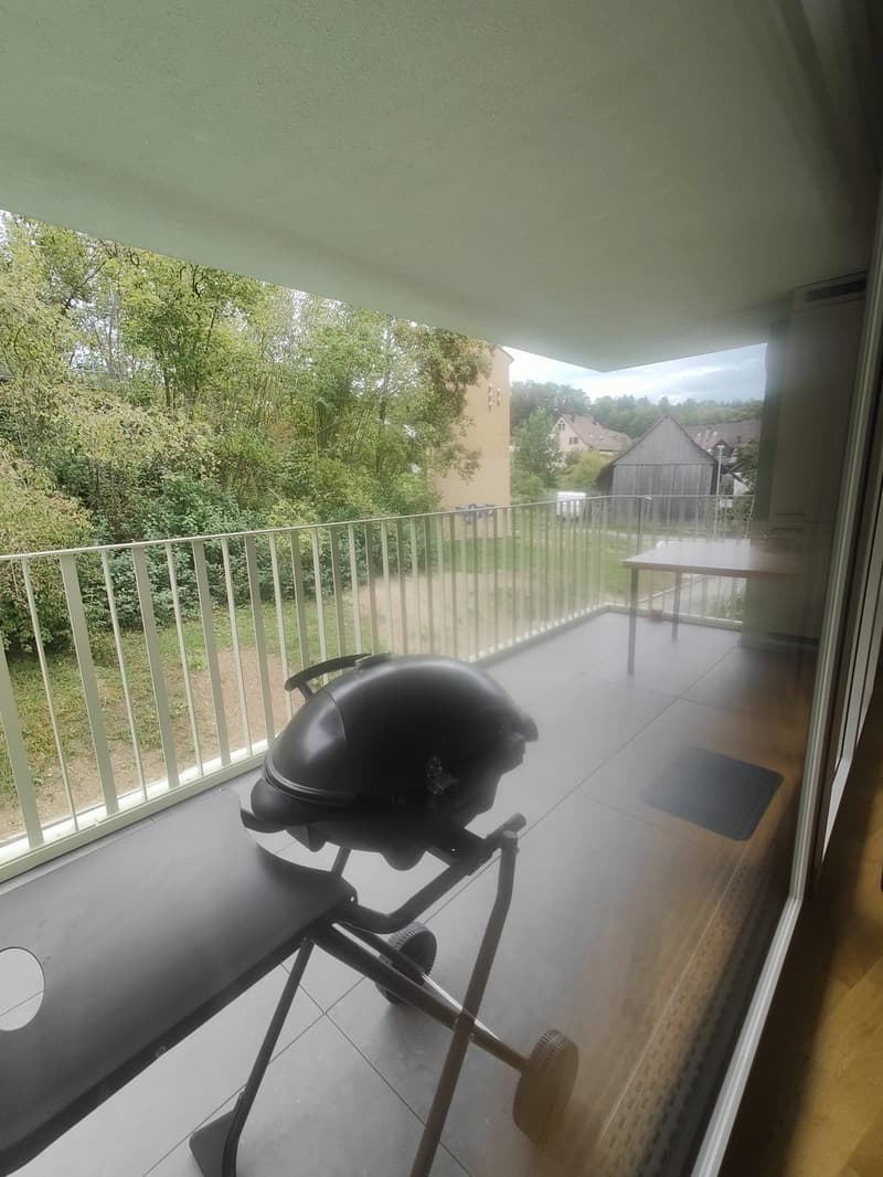 3.5-Zimmer-Wohnung im ruhigen Hedingen (7)