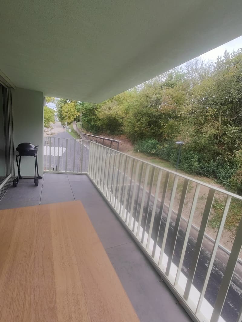 3.5-Zimmer-Wohnung im ruhigen Hedingen (8)