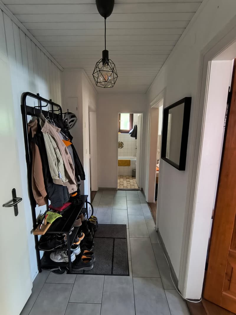 Schöne 3-Zimmer Wohnung im Zentrum von Schlieren (4)