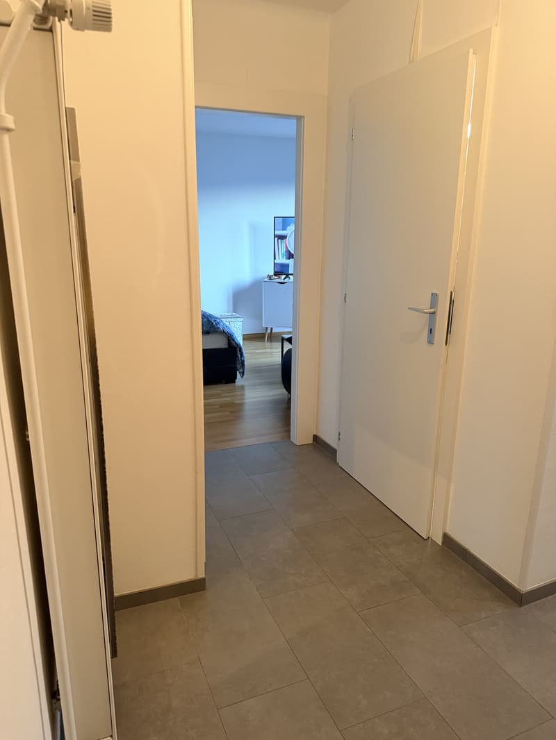 joli Appartement 1 pièce urgent bail à reprendre au 31.10 (3)