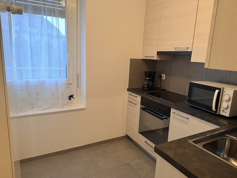 joli Appartement 1 pièce urgent bail à reprendre au 31.10 (4)