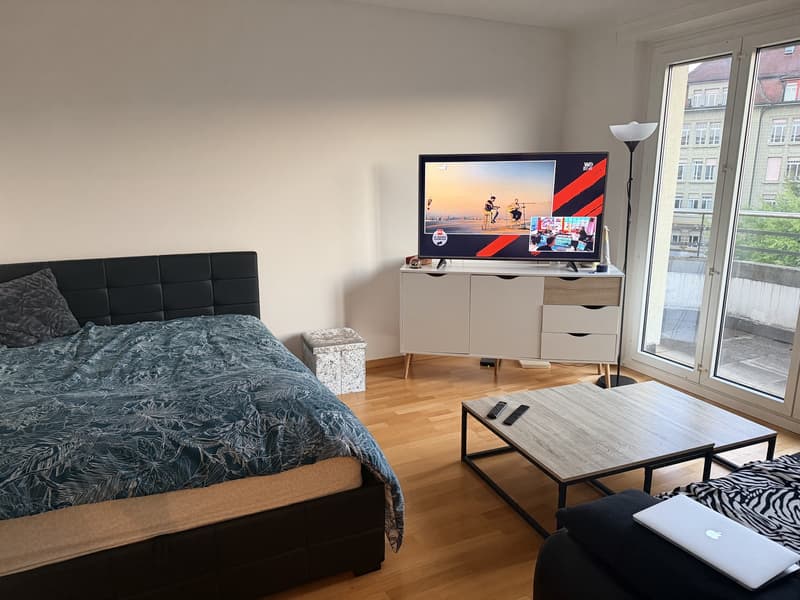 joli Appartement 1 pièce urgent bail à reprendre au 31.10 (1)