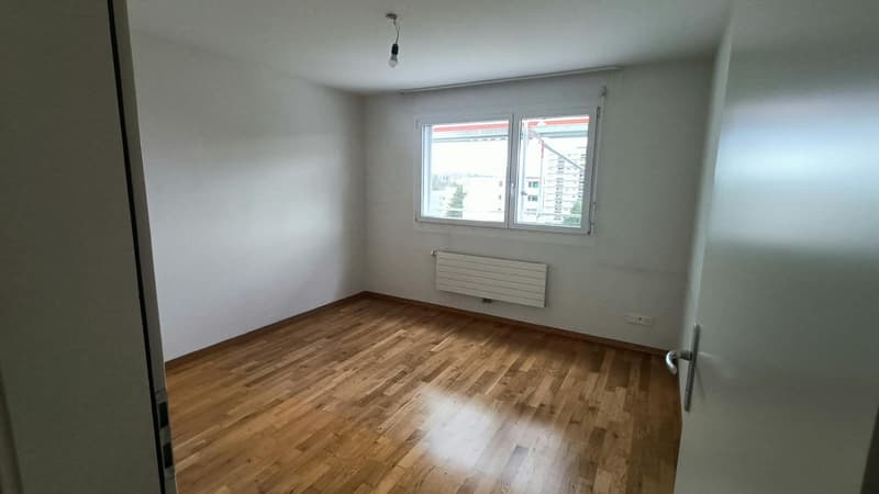 Magnifique Appartement avec vue sur les préalpes (12)