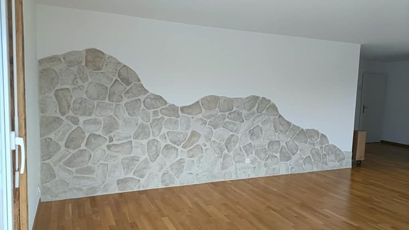 Magnifique Appartement avec vue sur les préalpes (6)