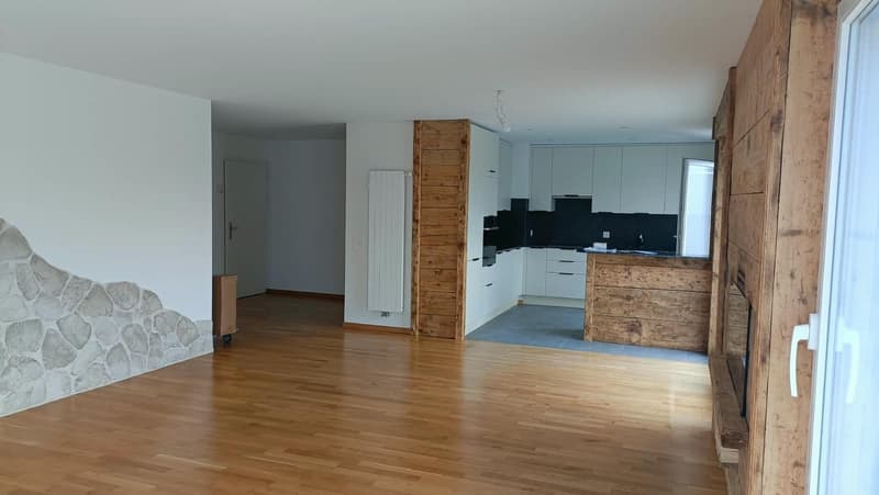 Magnifique Appartement avec vue sur les préalpes (4)
