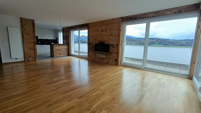 Magnifique Appartement avec vue sur les préalpes (9)