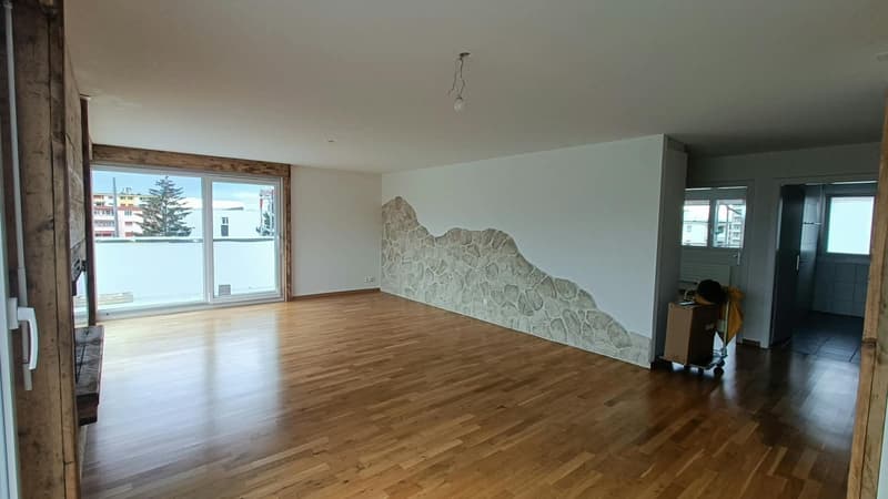 Magnifique Appartement avec vue sur les préalpes (8)