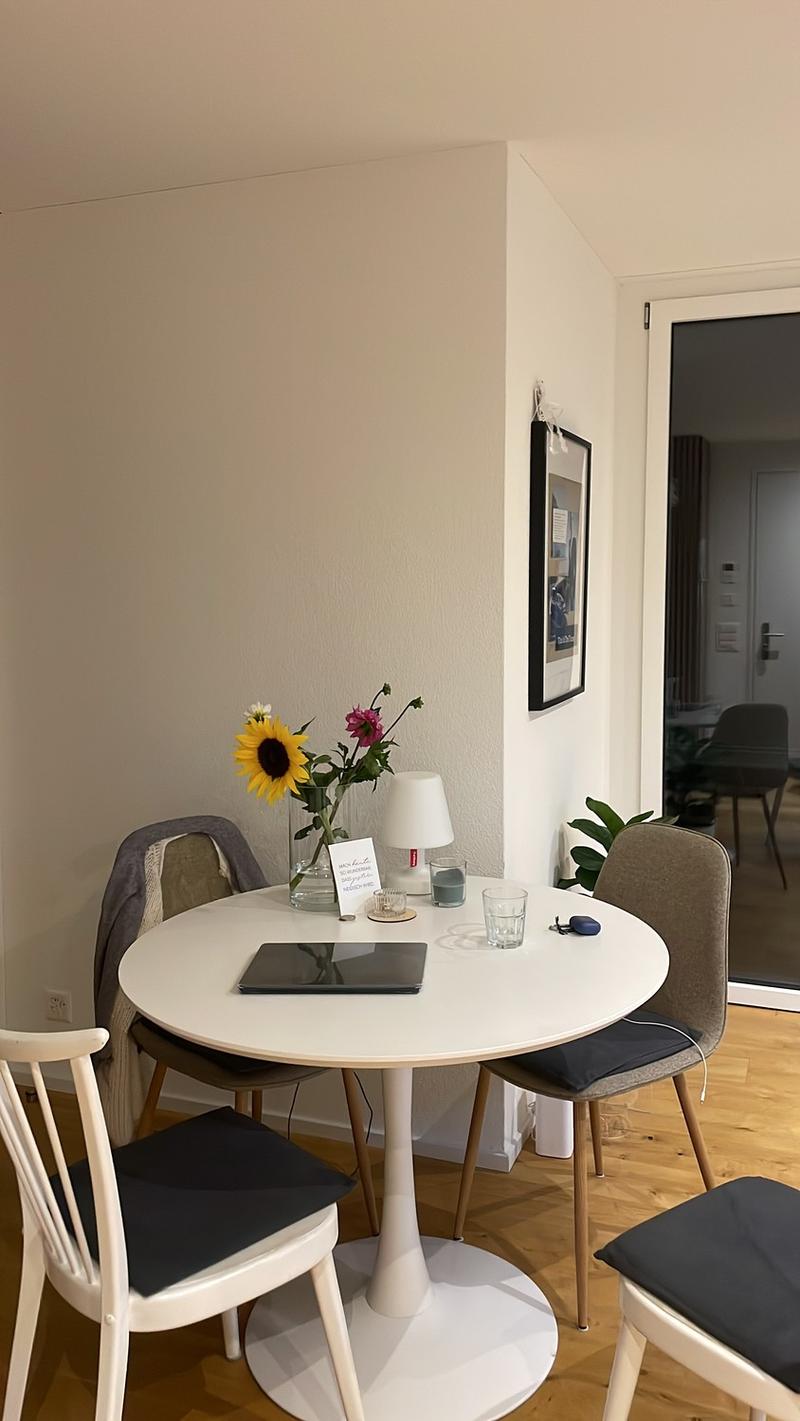 1.5 Zimmerwohnung (3)