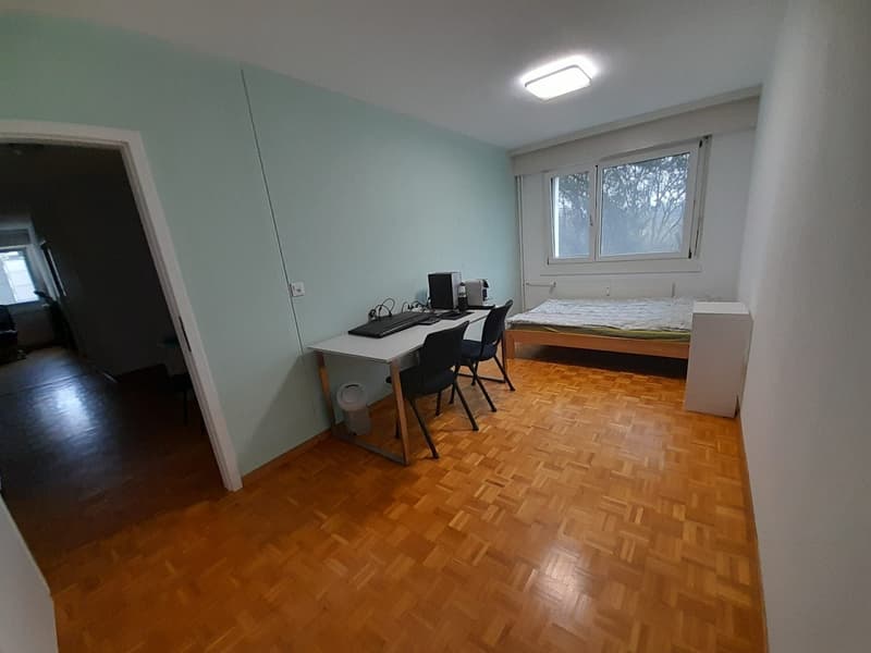 WG Zimmer in Greifensee (1)