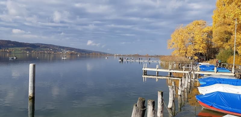 WG Zimmer in Greifensee (2)
