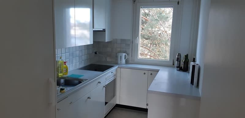 WG Zimmer in Greifensee (4)
