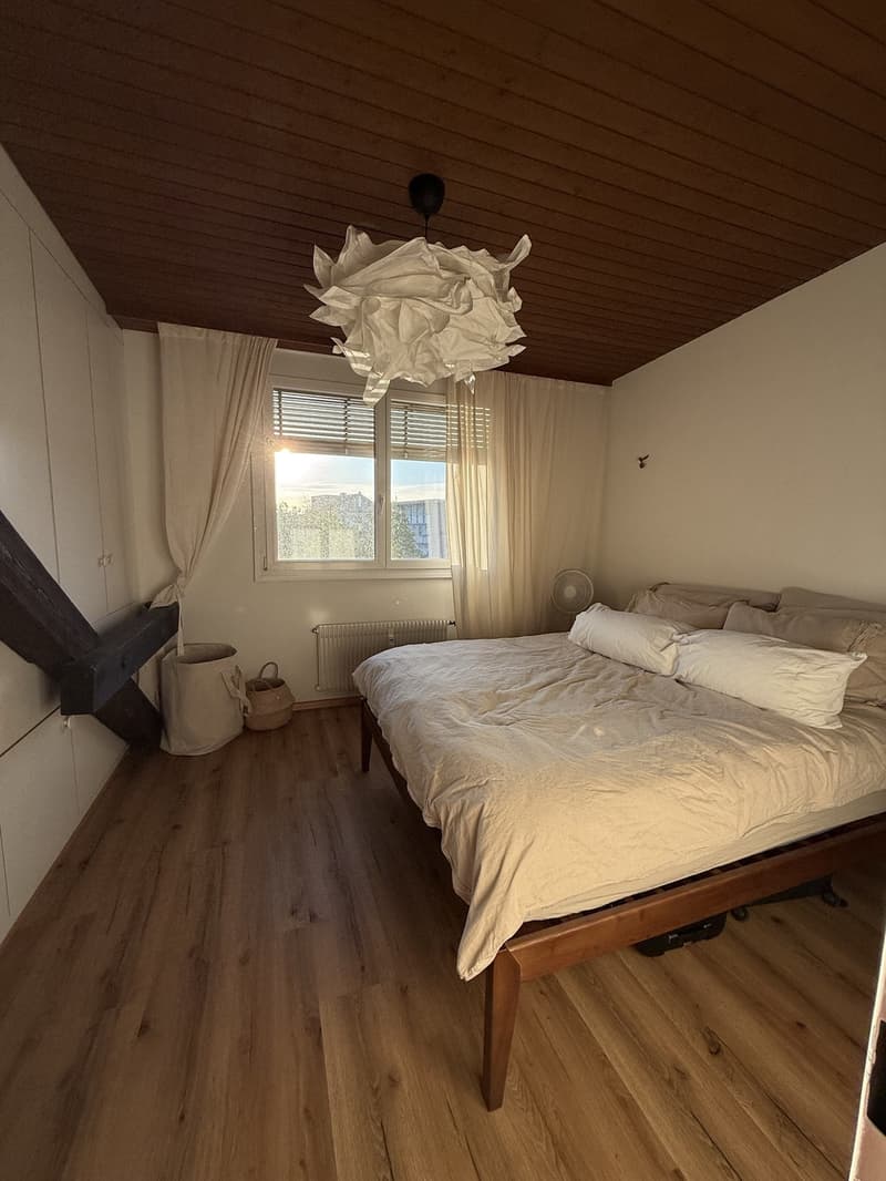 Nachmieter/in gesucht per 1. Dezember 2026 charmante 3-Zimmer-Dachwohnung mit Terrasse und Cheminée (7)