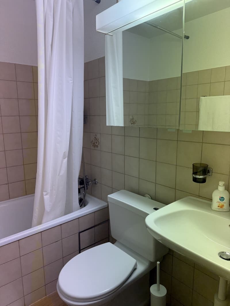 Nachmieter/in gesucht per 1. Dezember 2026 charmante 3-Zimmer-Dachwohnung mit Terrasse und Cheminée (8)