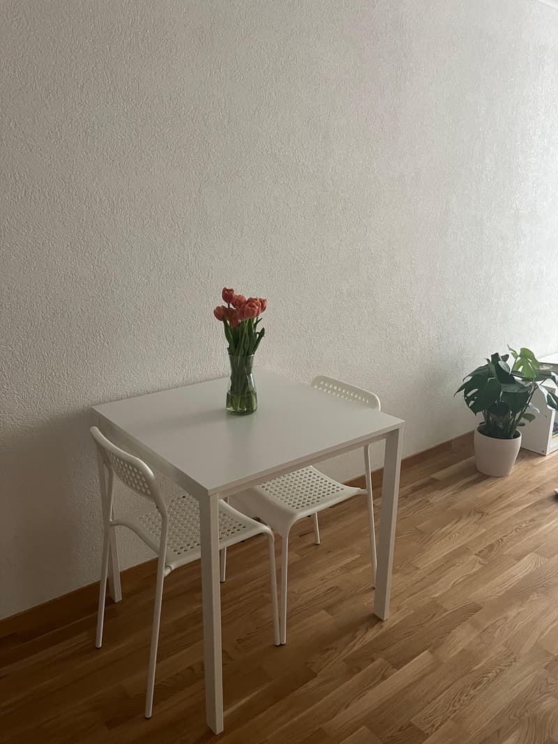 Appartement meublé disponible du 15 octobre au 15 novembre (dates flexibles) (4)