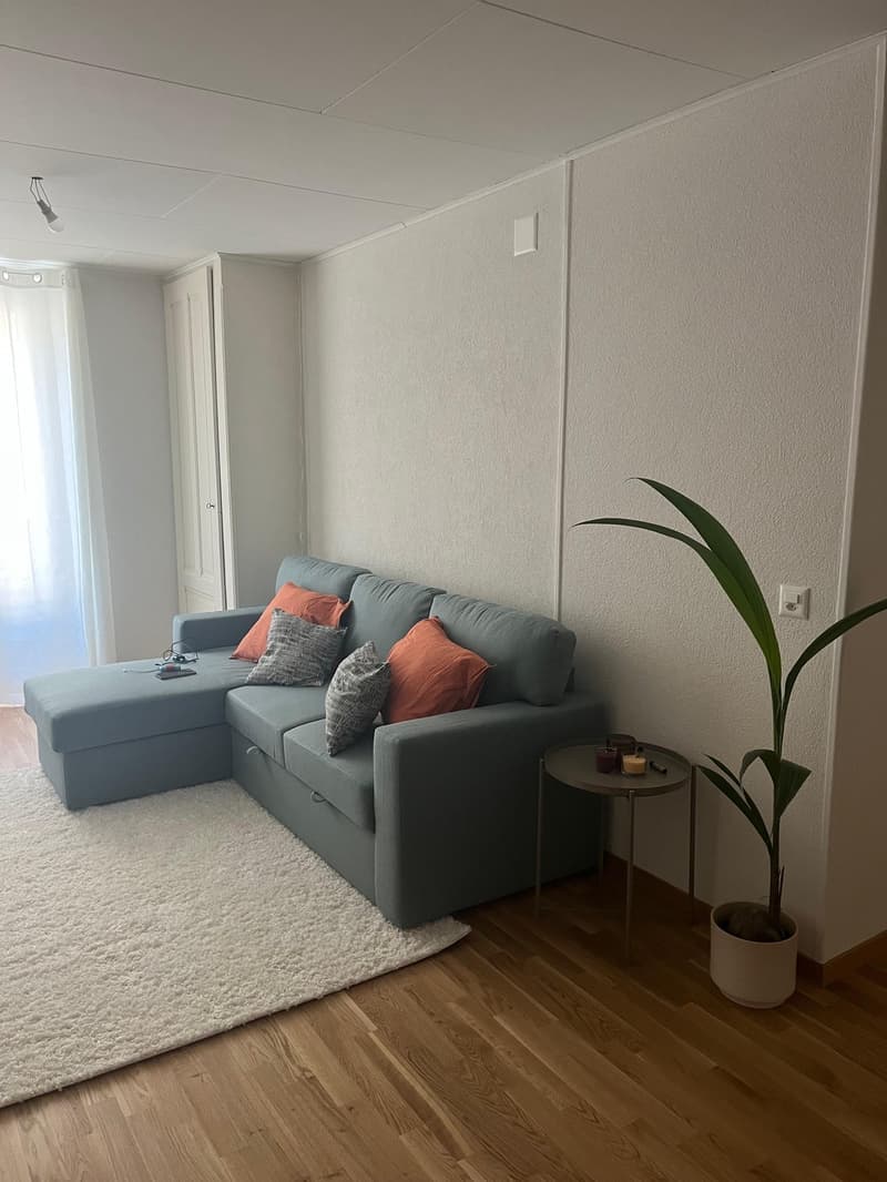 Appartement meublé disponible du 15 octobre au 15 novembre (dates flexibles) (5)