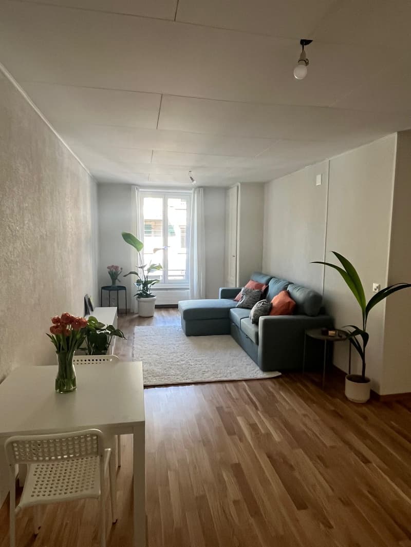 Appartement meublé disponible du 15 octobre au 15 novembre (dates flexibles) (3)