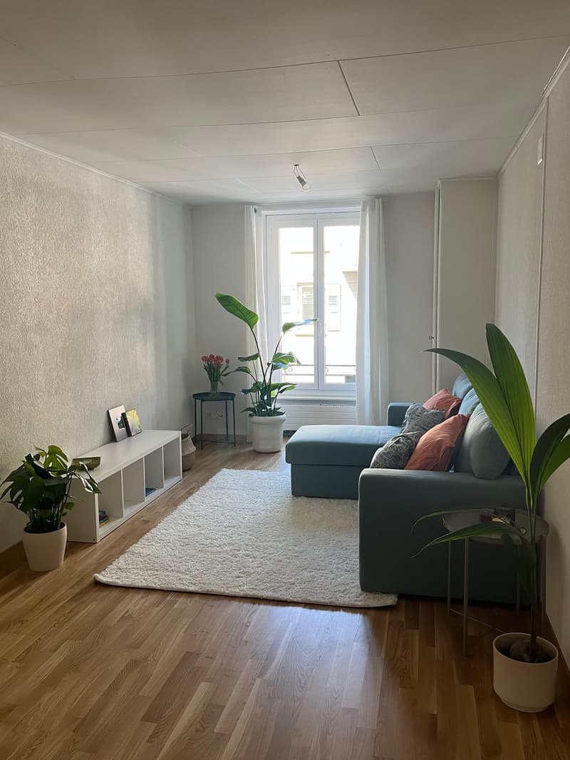 Appartement meublé disponible du 15 octobre au 15 novembre (dates flexibles) (2)