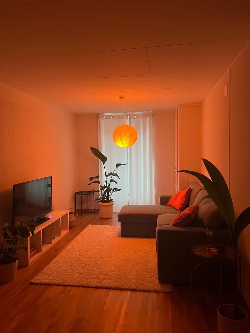 Appartement meublé disponible du 15 octobre au 15 novembre (dates flexibles) (1)