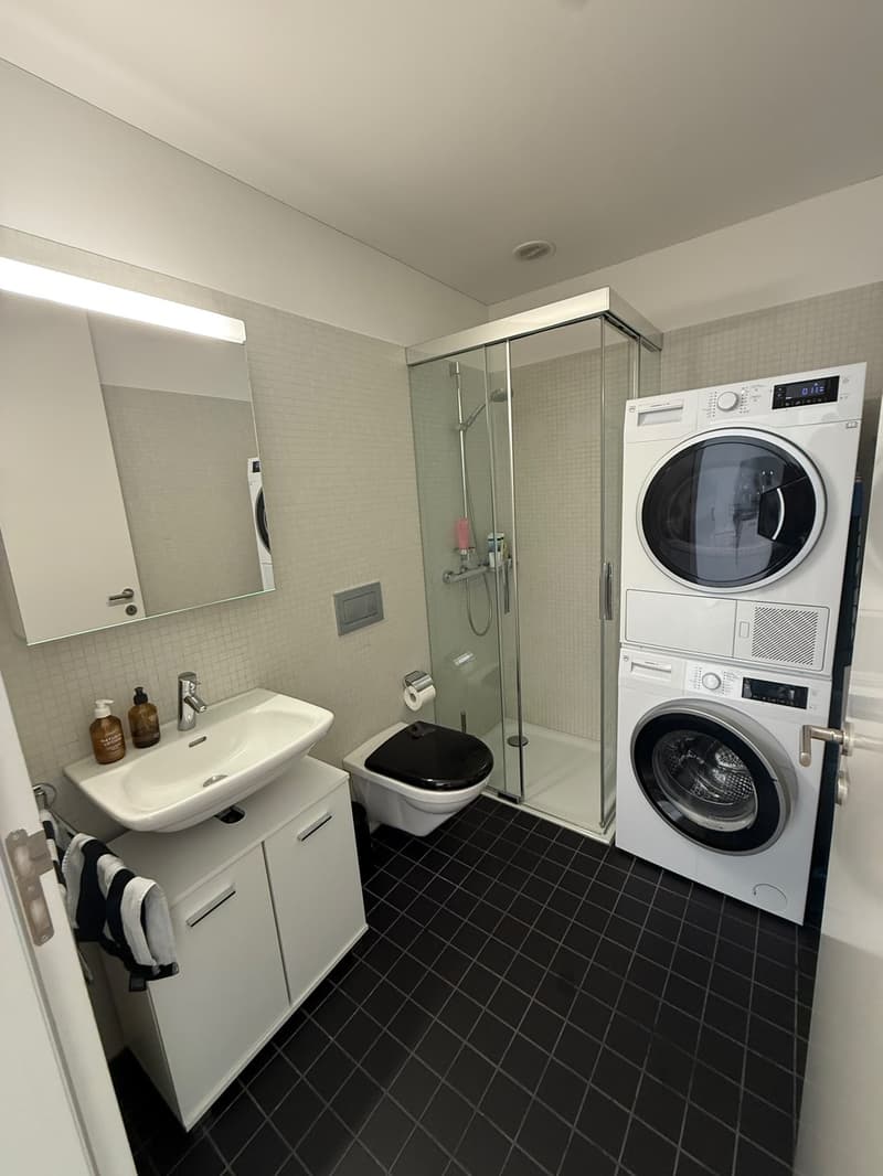 2.5 Zimmer Wohnung (befristet mit evtl. Verlängerung) (5)
