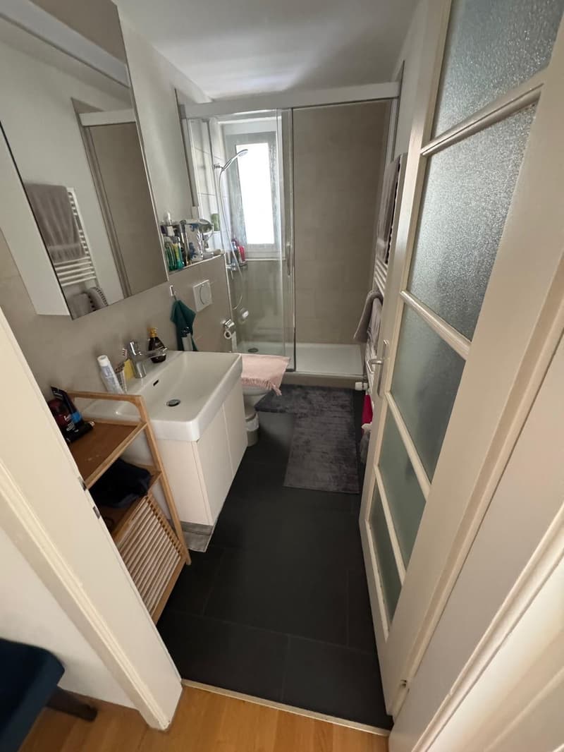 Bright, cosy flat with a balcony in Dübendorf, next to Zurich available from 16 October (3)