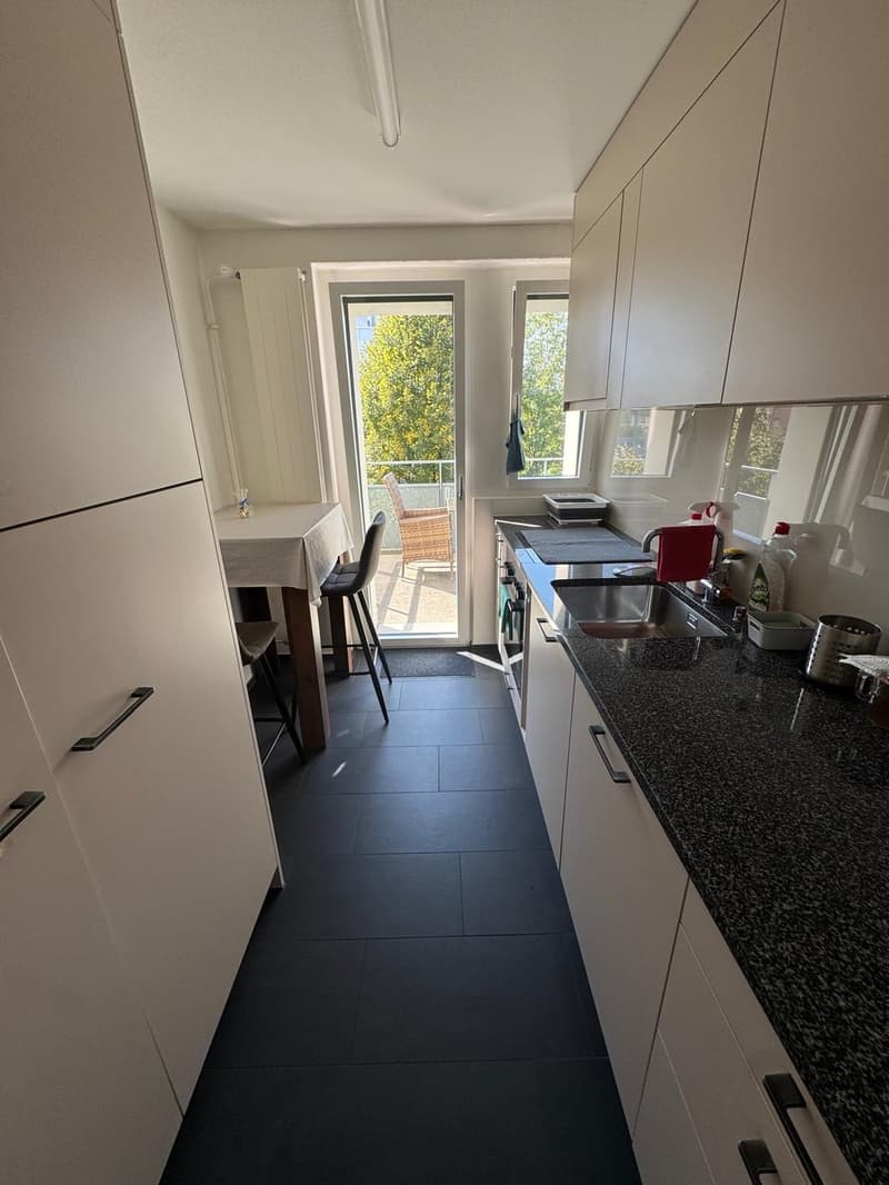 Bright, cosy flat with a balcony in Dübendorf, next to Zurich available from 16 October (6)