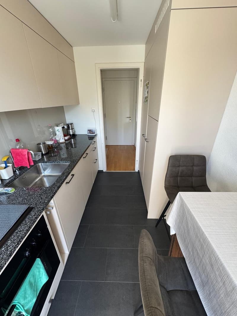 Bright, cosy flat with a balcony in Dübendorf, next to Zurich available from 16 October (2)