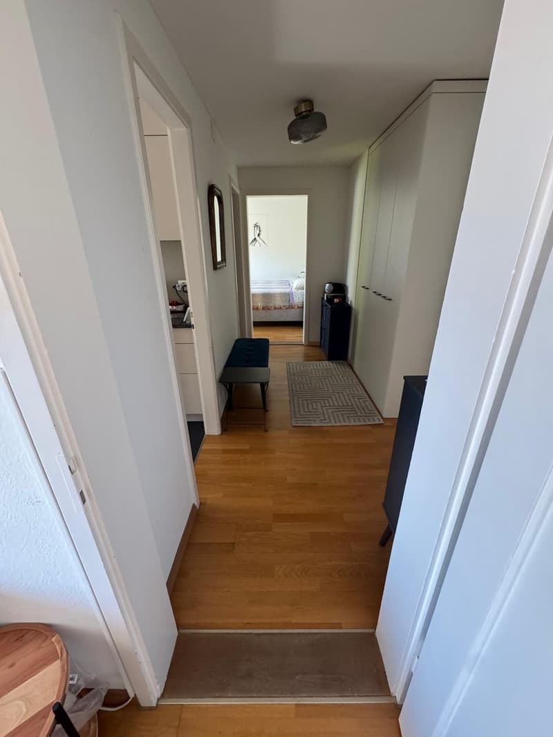 Bright, cosy flat with a balcony in Dübendorf, next to Zurich available from 16 October (1)