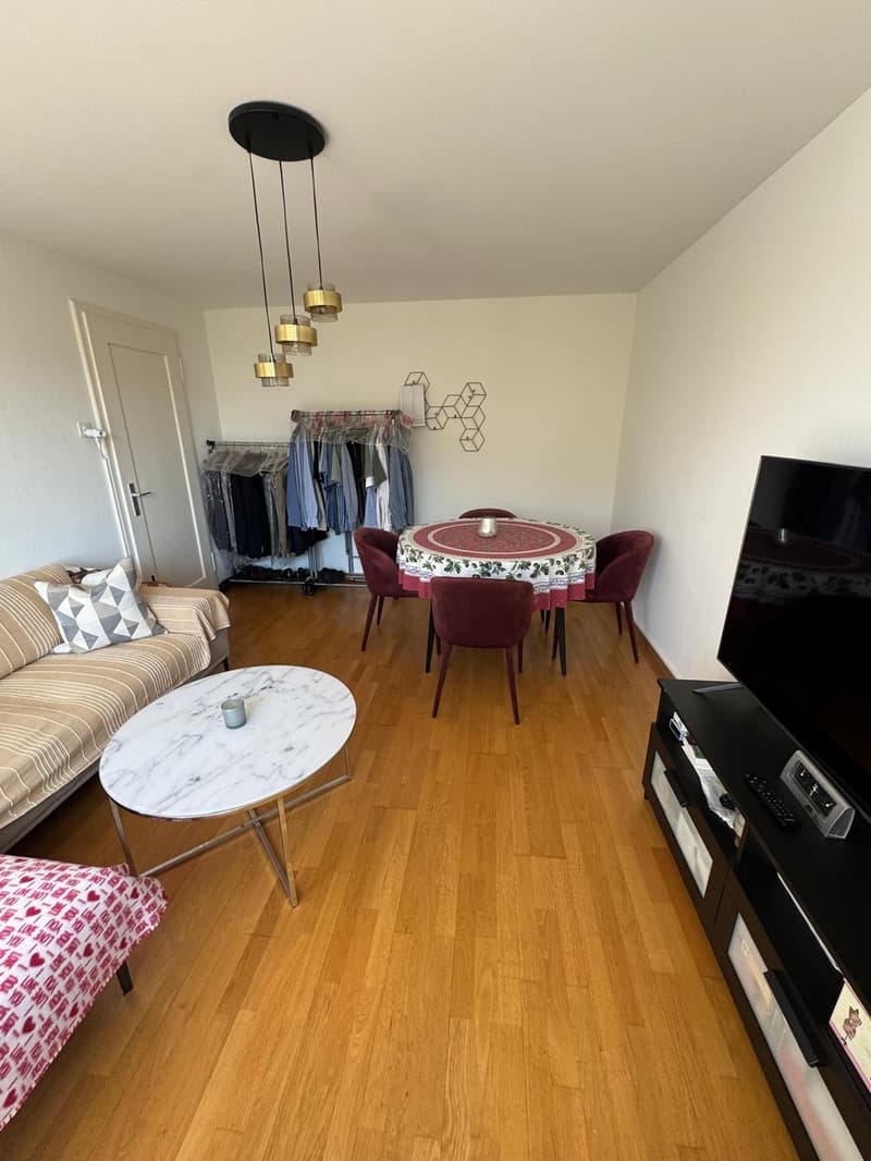 Bright, cosy flat with a balcony in Dübendorf, next to Zurich available from 16 October (4)