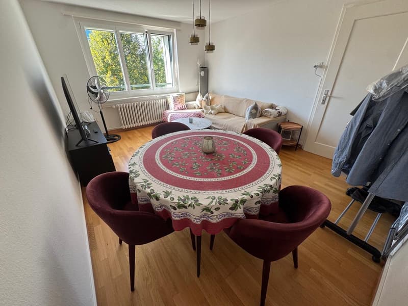 Bright, cosy flat with a balcony in Dübendorf, next to Zurich available from 16 October (11)