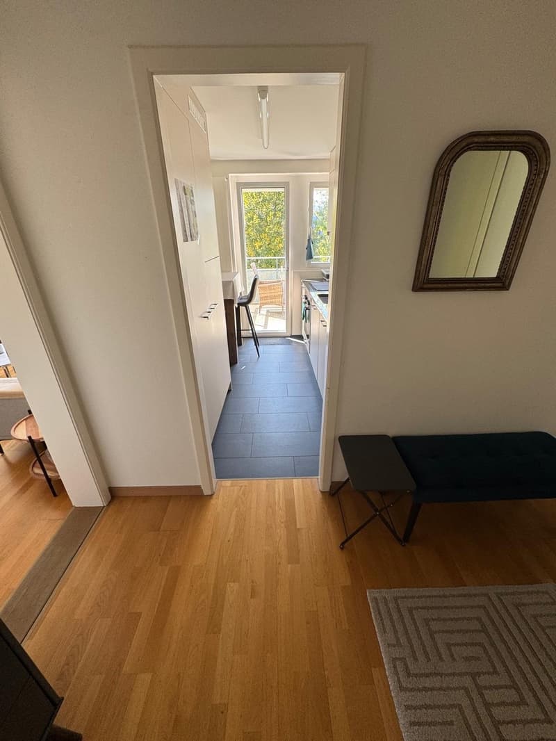 Bright, cosy flat with a balcony in Dübendorf, next to Zurich available from 16 October (7)