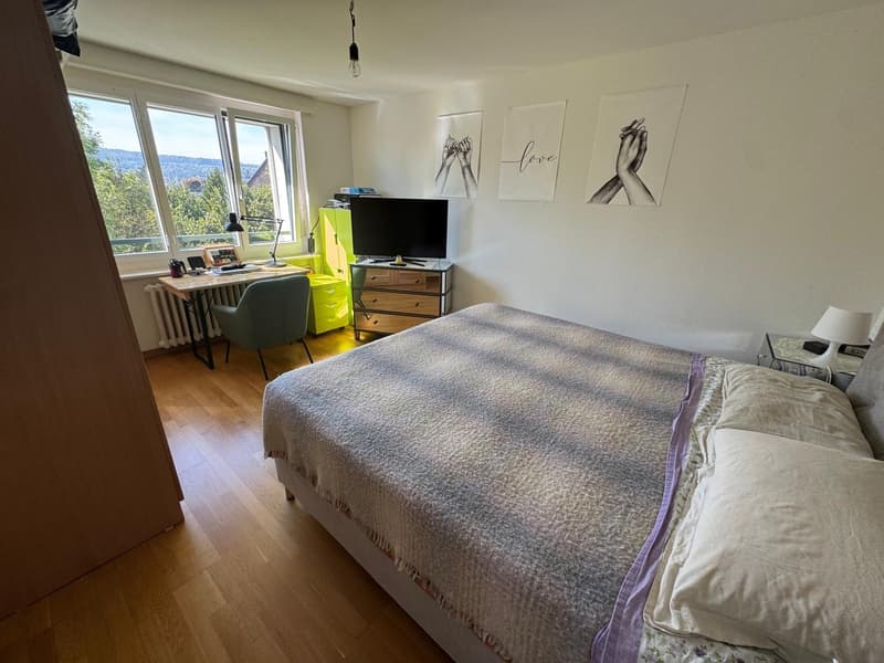 Bright, cosy flat with a balcony in Dübendorf, next to Zurich available from 16 October (8)