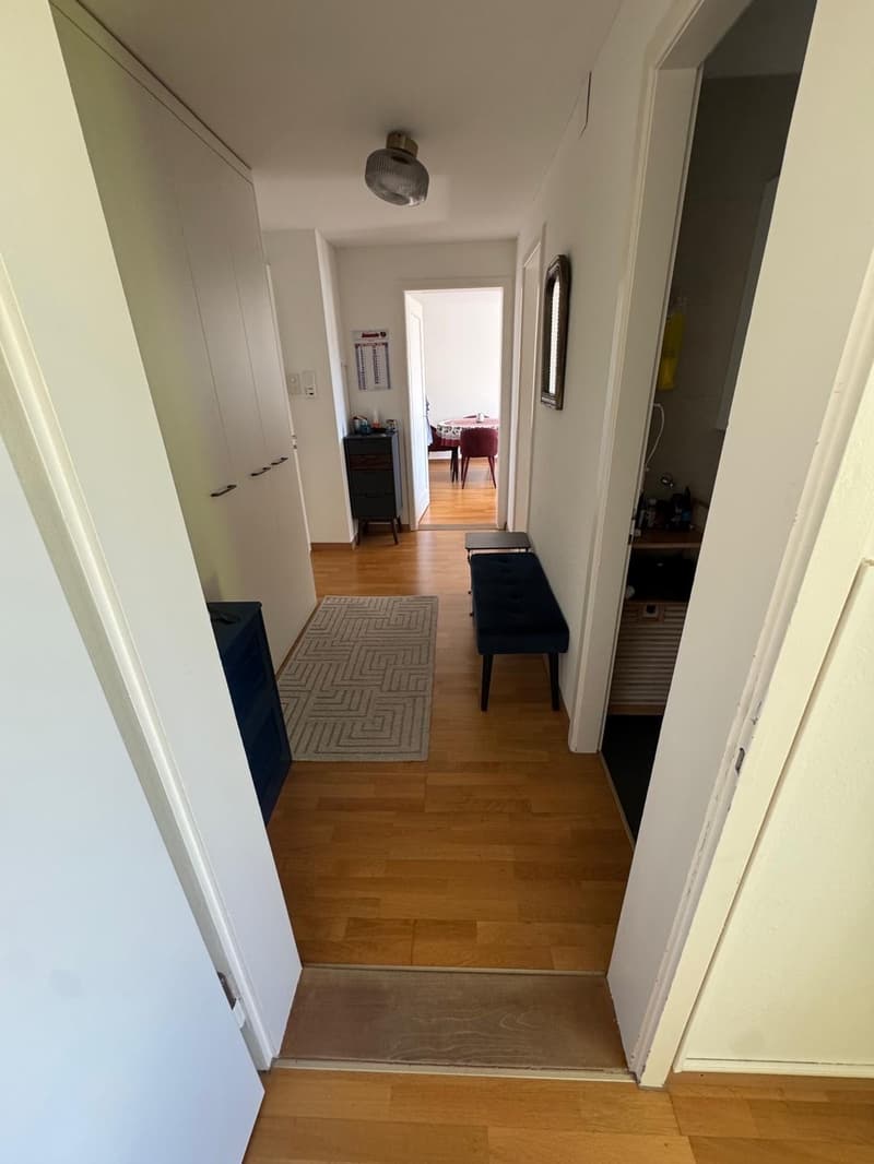 Bright, cosy flat with a balcony in Dübendorf, next to Zurich available from 16 October (5)