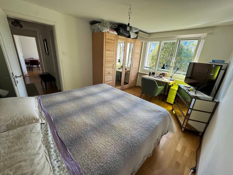Bright, cosy flat with a balcony in Dübendorf, next to Zurich available from 16 October (12)