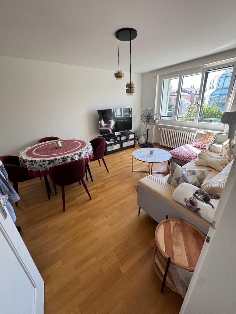 Bright, cosy flat with a balcony in Dübendorf, next to Zurich available from 16 October (9)
