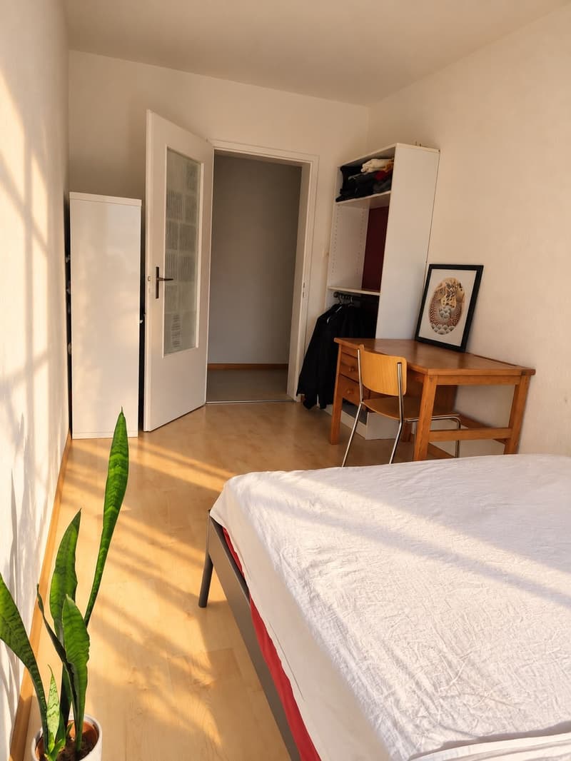 hree rooms becoming permanently available on a cozy street near Claraplatz (5)