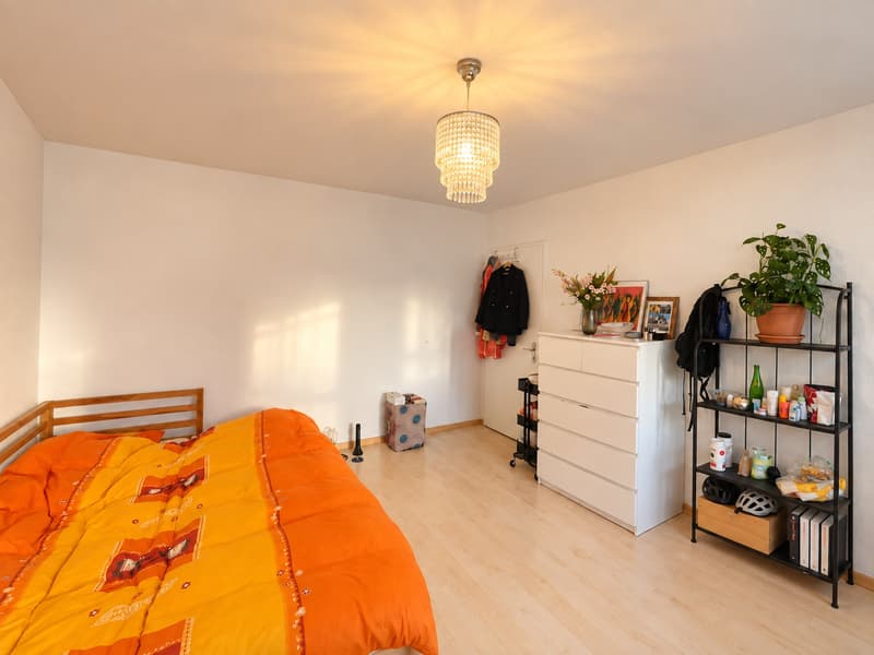 hree rooms becoming permanently available on a cozy street near Claraplatz (4)